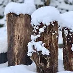 Kiskacsa Nyulontul شقة Mencshely