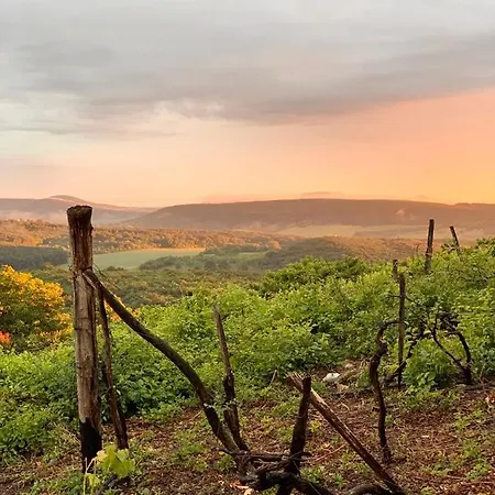 Apartment Kiskacsa Nyulontul
