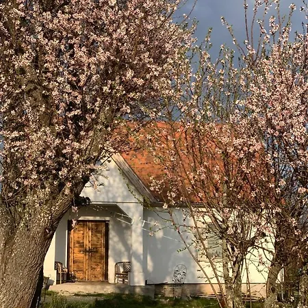 Apartment Kiskacsa Nyulontul *