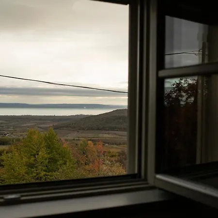 Kiskacsa Nyulontul *