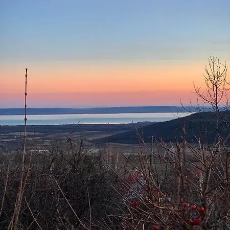 Kiskacsa Nyulontul Apartment *