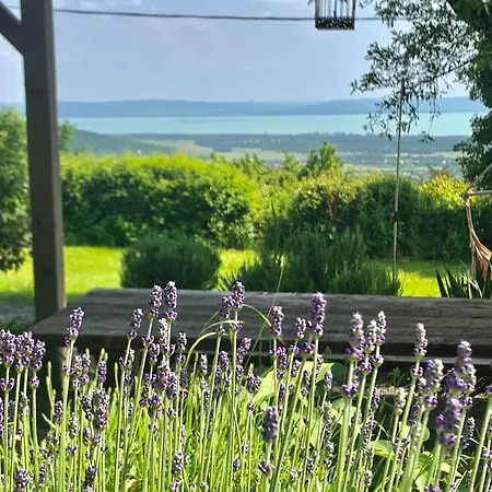 Apartment Kiskacsa Nyulontul