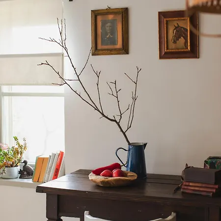 Kiskacsa Nyulontul Apartment