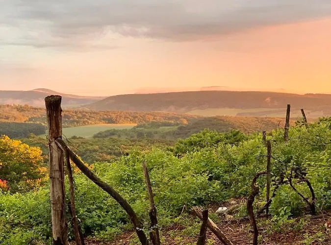 Apartmán Kiskacsa Nyulontul