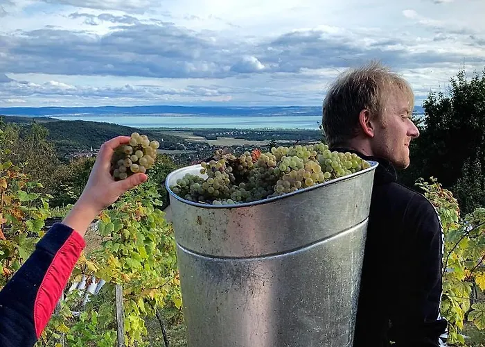 Apartmán Kiskacsa Nyulontul *