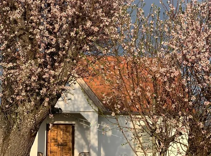 Apartamento Kiskacsa Nyúlontúl *