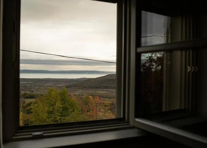 Kiskacsa Nyulontul *