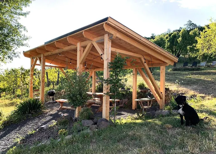 Kiskacsa Nyulontul * Mencshely