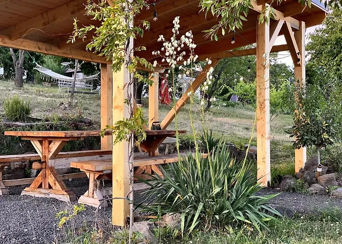 Kiskacsa Nyulontul *