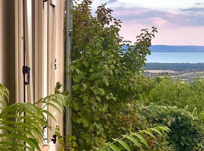 Kiskacsa Nyulontul Apartmán Mencshely