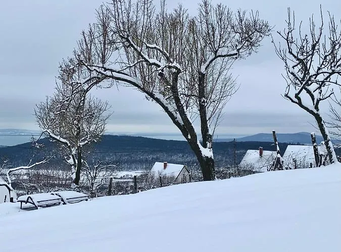 Kiskacsa Nyulontul * Mencshely