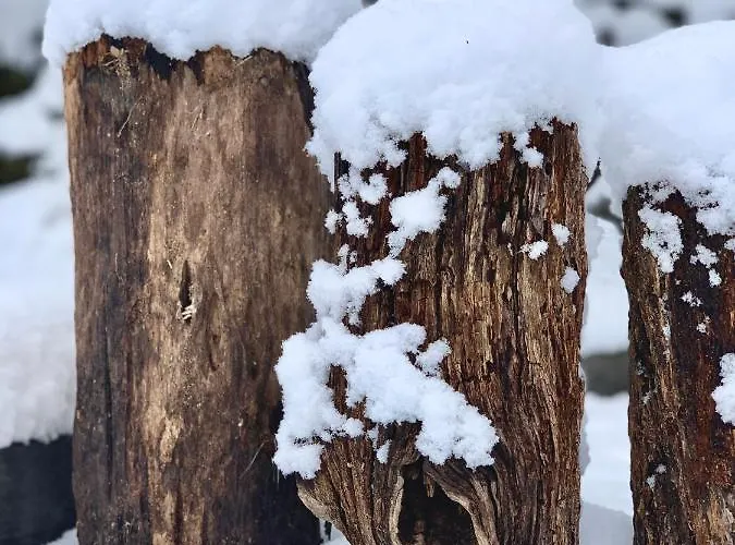Kiskacsa Nyulontul דירה Mencshely