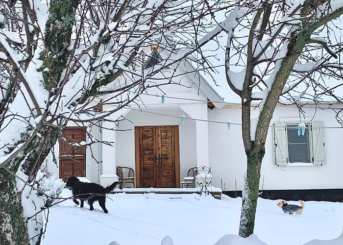 Apartmán Kiskacsa Nyulontul Mencshely