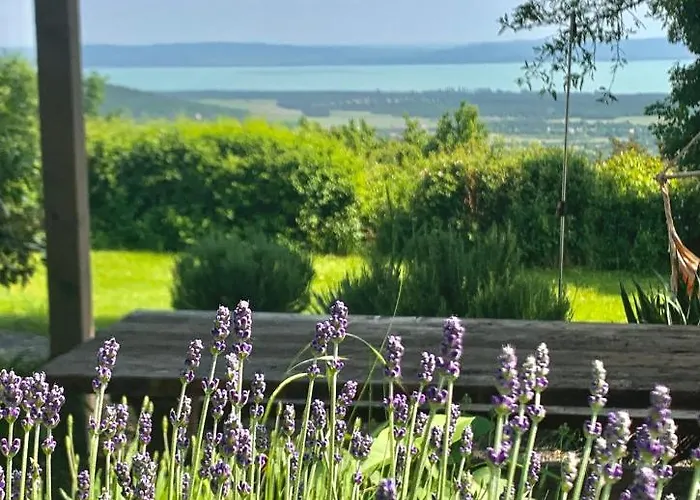 Apartmán Kiskacsa Nyulontul