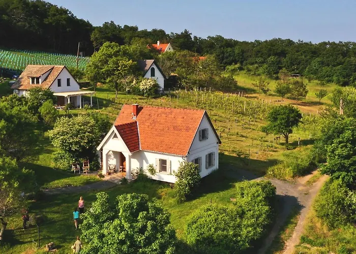 Kiskacsa Nyulontul Mencshely