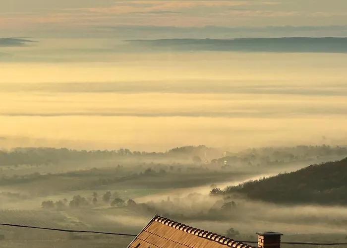 Kiskacsa Nyulontul Mencshely